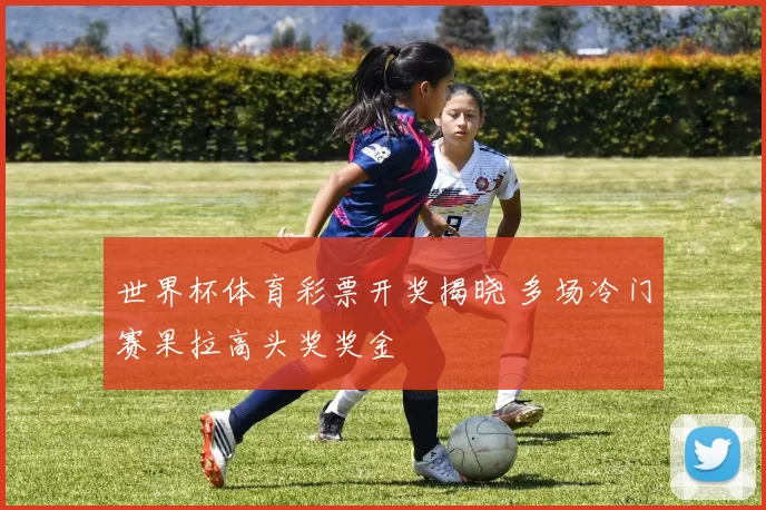 世界杯体育彩票开奖揭晓 多场冷门赛果拉高头奖奖金