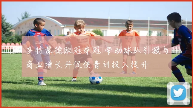 多特蒙德欧冠夺冠 带动球队引援与商业增长并促使青训投入提升