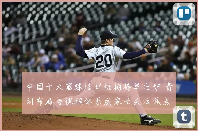 中国十大篮球培训机构榜单出炉 青训布局与课程体系成家长关注焦点