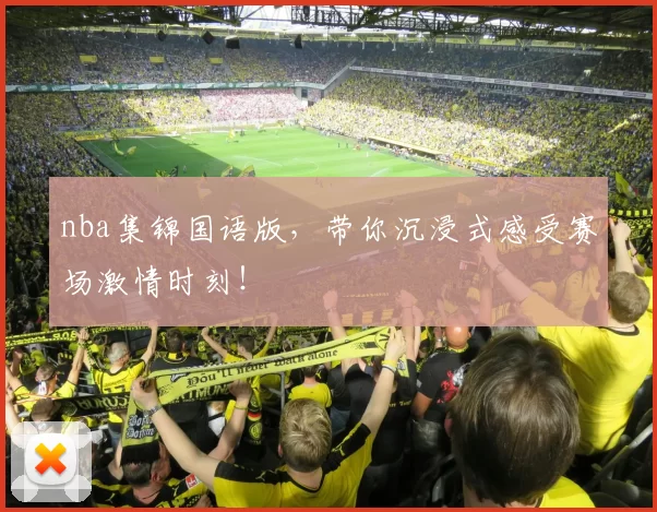 nba集锦国语版，带你沉浸式感受赛场激情时刻！